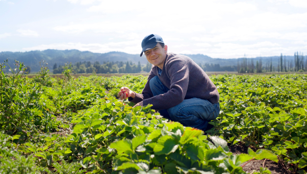 Chaucer Foods ethical agricultural grower partnerships and sustainable farming